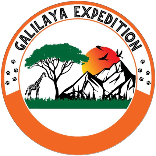 Galilaya Expedition Pro Logo